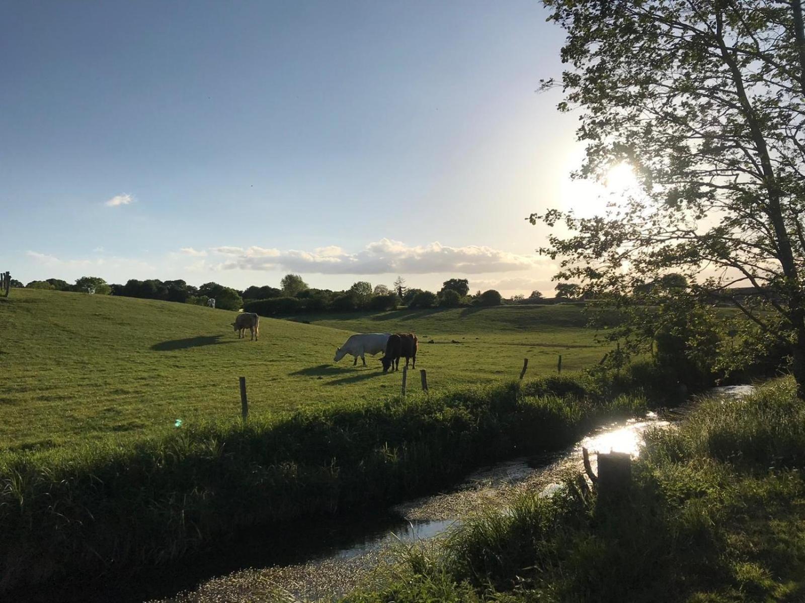 Seestern Bunsdorf Esterno foto